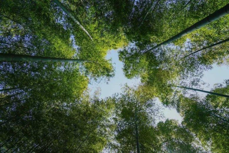 在职场里不擅长社交怎么生存?-解决问题的好帮手